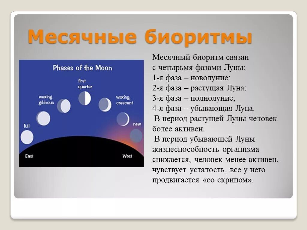 Фазы луны людей
