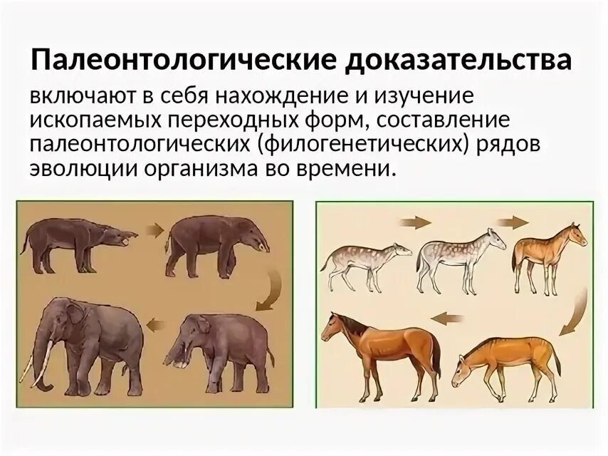 Палеонтологические данные примеры