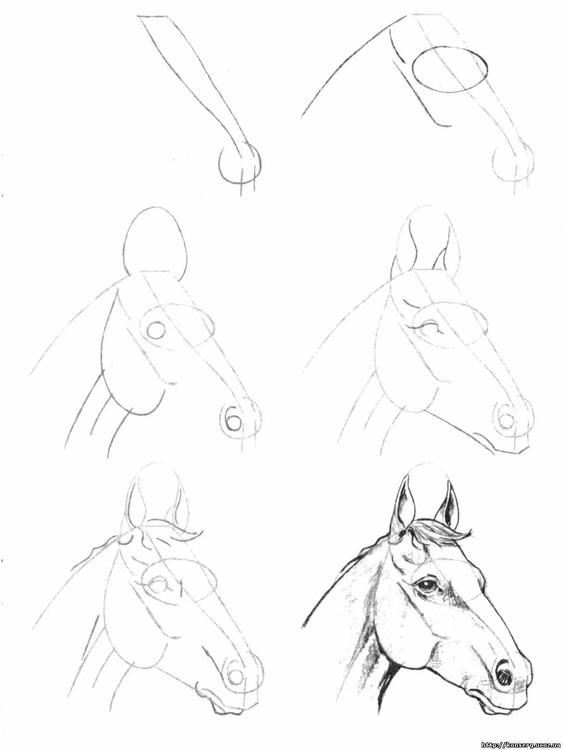 Рисунки лошадей для срисовки. Уроки рисования карандашом глаза. Поэтапные рисунки карандашом. Простые пошаговые рисунки. Поэтапный рисунок коня.
