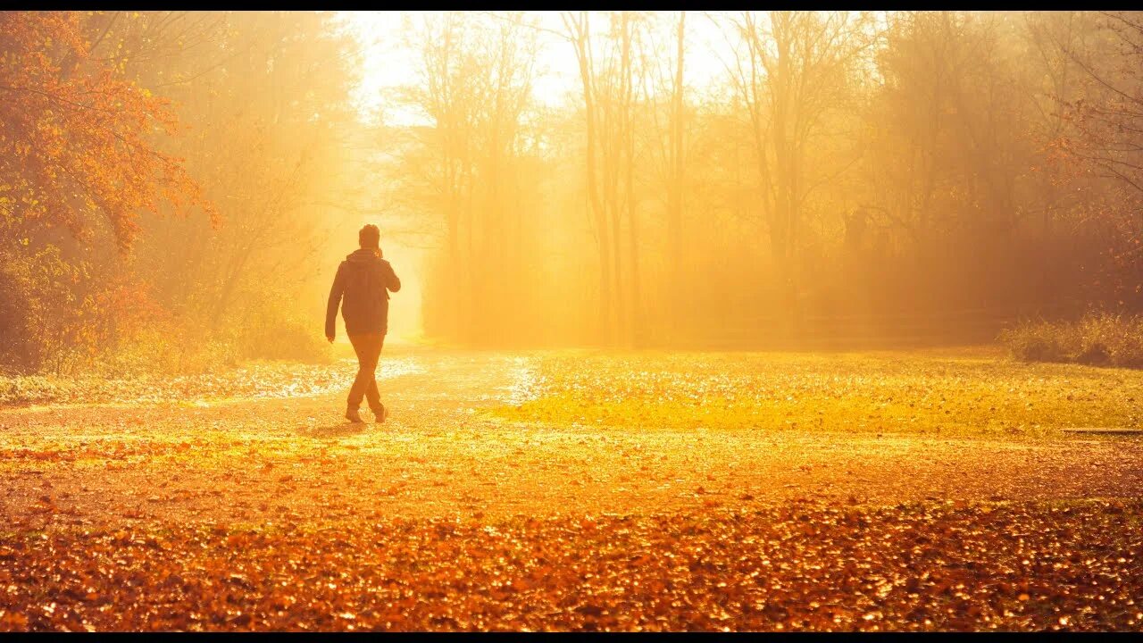 Relaxing walks. Релакс музыка деревня. Metaverse Walking Relaxation Flowers.