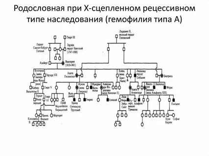 Родословная рецессивное сцепленное с полом