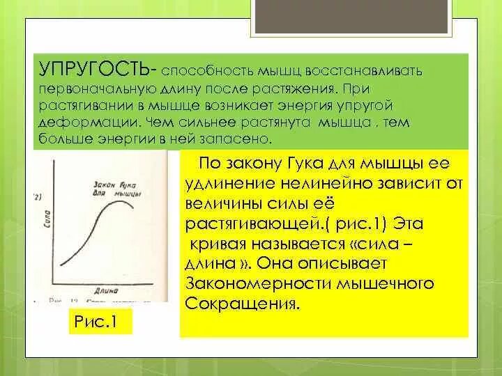 Способность мышцы. Механические свойства мышц упругость. Характеристика механических мышц. Механические свойства мышц биомеханика. Механические свойства мышечной ткани.