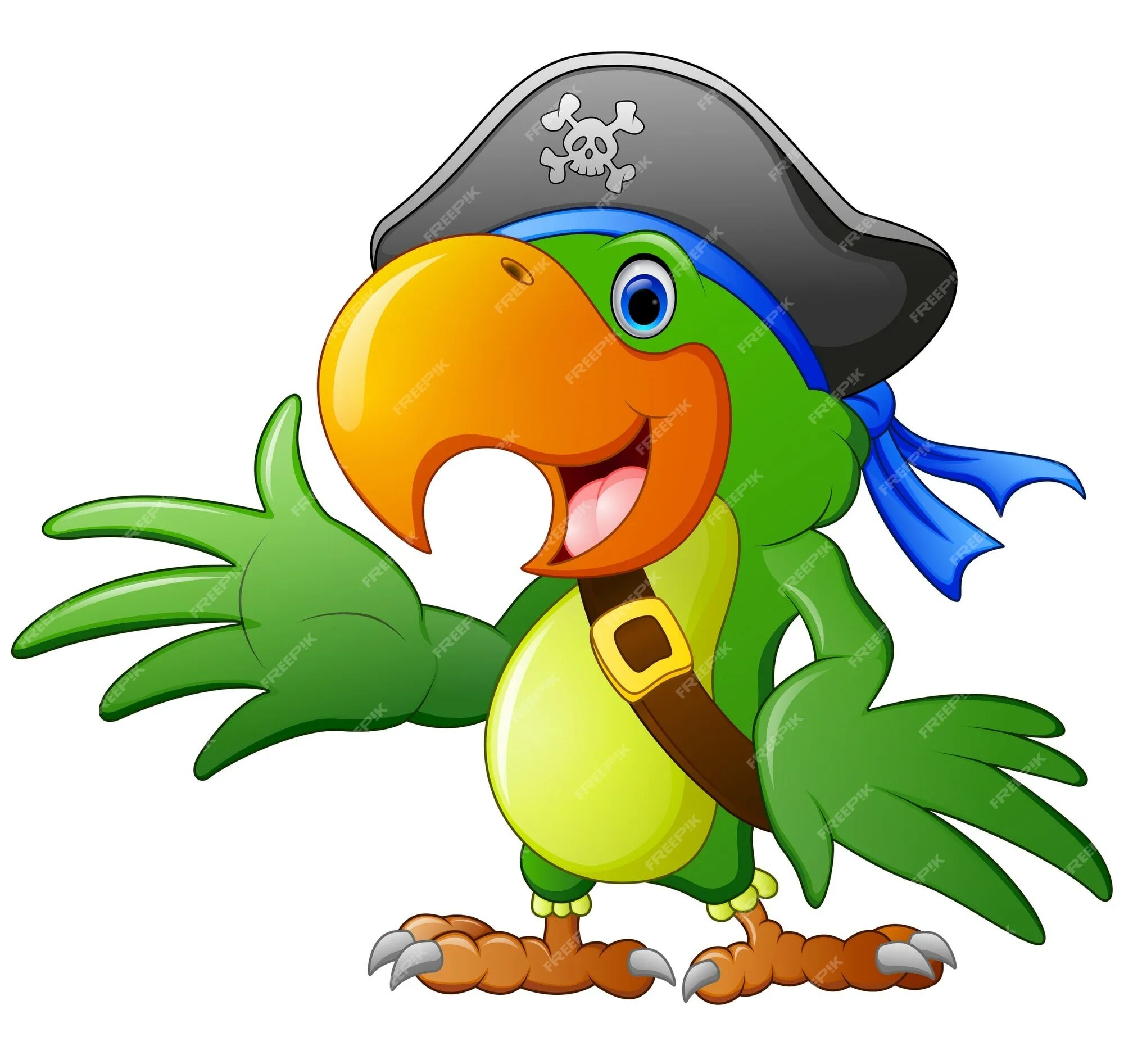 Пиратский попугай. Попугай пиратский мультяшный. Попугай пират для детей. Пиратский попугай на прозрачном фоне.
