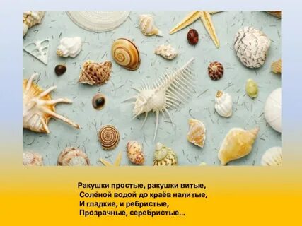 Песня ракушка