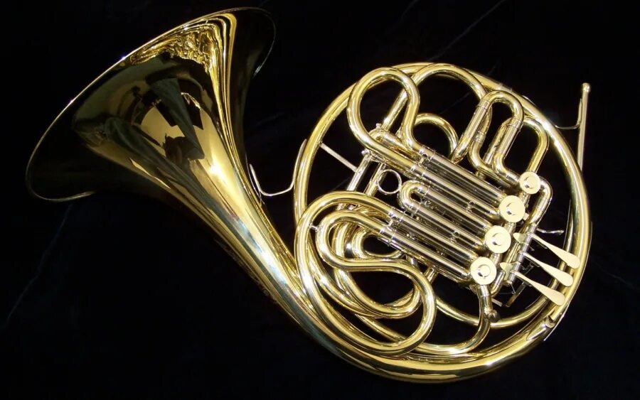 French horn. медные духовые валторна. медные духовые инструменты валторна. медные духовые инструменты валторна. валторна духовой музыкальный инструмент.