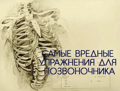 Вредные упражнения