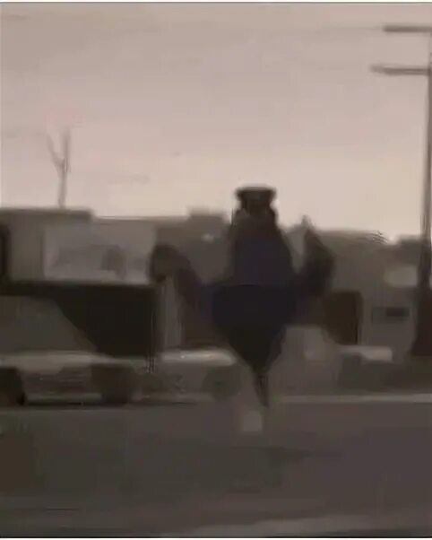 officer earl running in the 90's meme (seizure warning) - YouTube