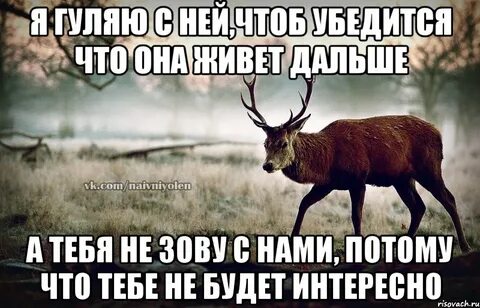 Интересно а дальше