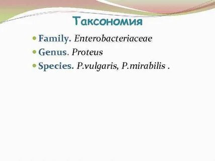 Таксономия wp