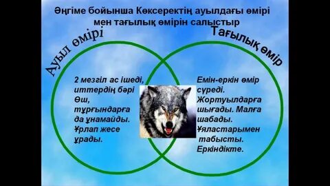 Көксерек әңгімесі