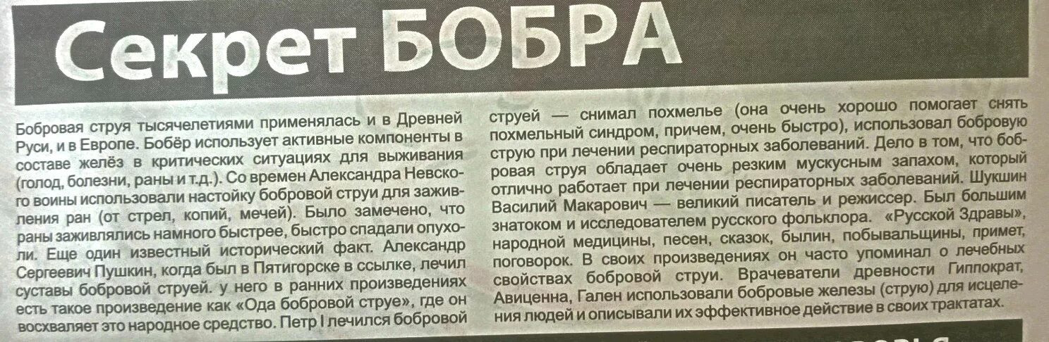 Как правильно принимать бобровую струю. Секрет бобра. Бобровая струя. Препуциальные железы бобра.