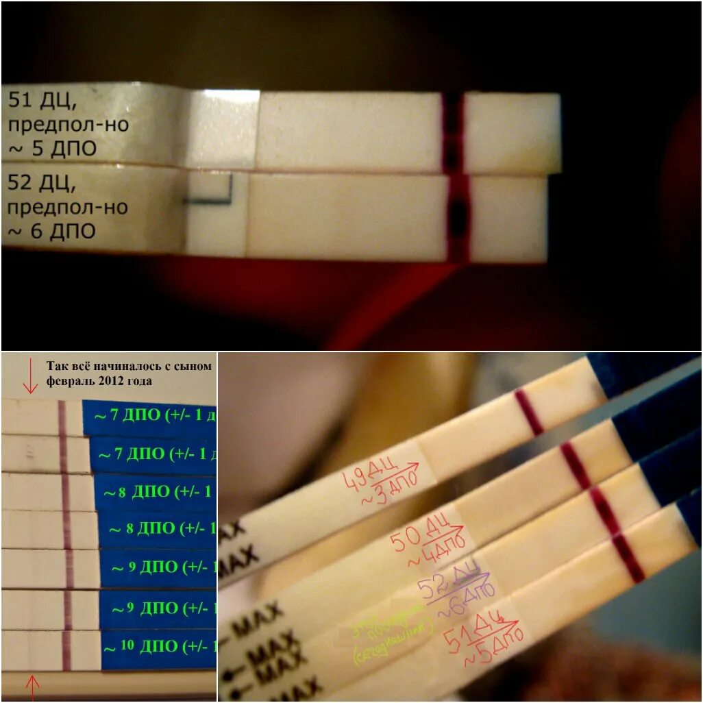 5-6 ДПО тест на беременность. 5 ДПО тест. 6 ДПО тест. Тесты на беременностт 6дпо. Тест на пятерку