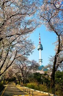 Korea selatan