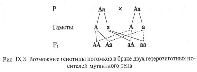 Доминантный ген а определяет развитие. Гетерозиготный Тип наследования. Рецессивные аутосомные заболевания в популяции. При рецессивном х-сцепленном типе наследования генотип больного. АА И АА Тип наследования.