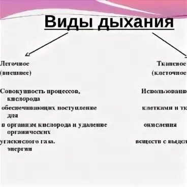 Виды дыхания. Виды и типы дыхания. Виды дыхания у человека. Назовите типы дыхания. Дышит какой вид