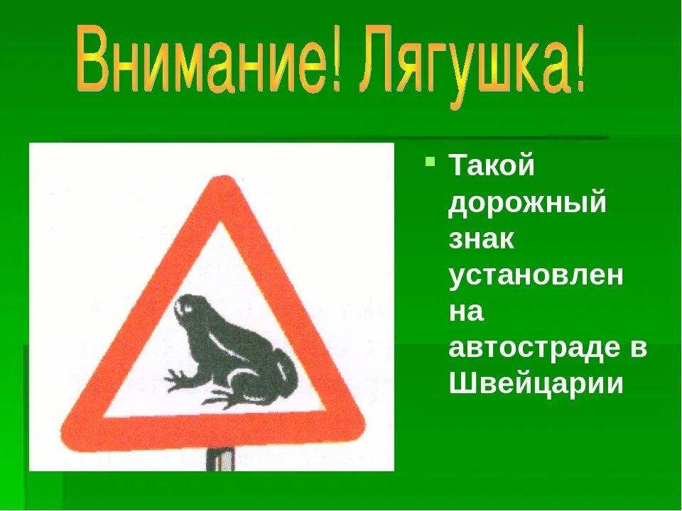Лягушка значение символа