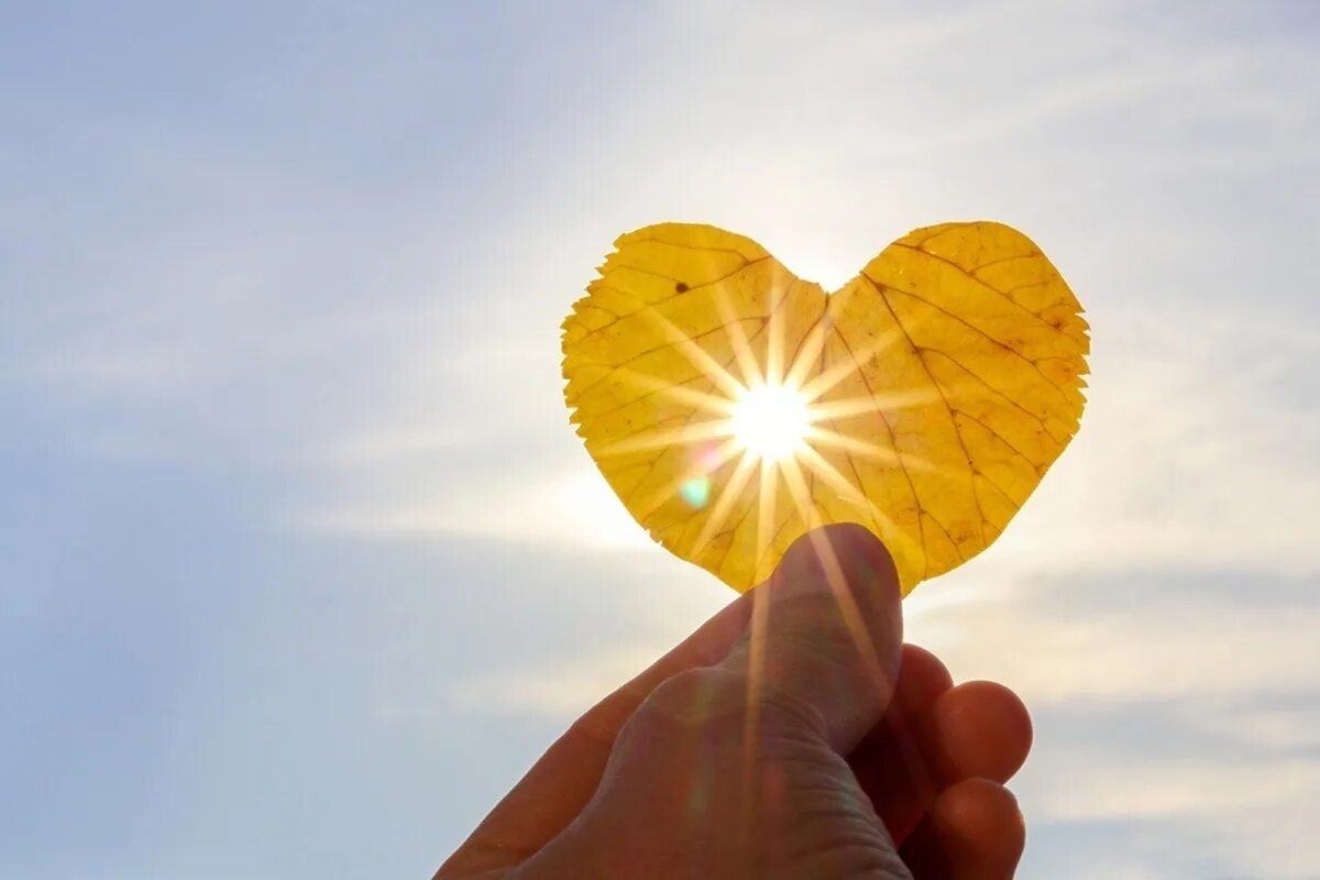 Сердце солнце. Сердечко солнце. Сердечко в лучах солнца. Солнечное сердце. Честная душа и золотое сердце