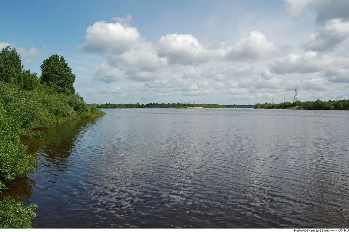 река унжа кологрив. унжа (приток оки). река унжа костромская. приток реки унжа костромская обл. река унжа костромская область.