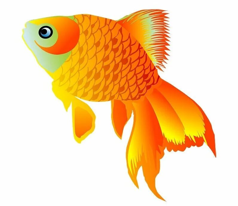 Рыбка картинка. Картинка Золотая рыбка на прозрачном фоне. Рыба для детей. Рыбка рисунок. Золотая рыбка рисунок.