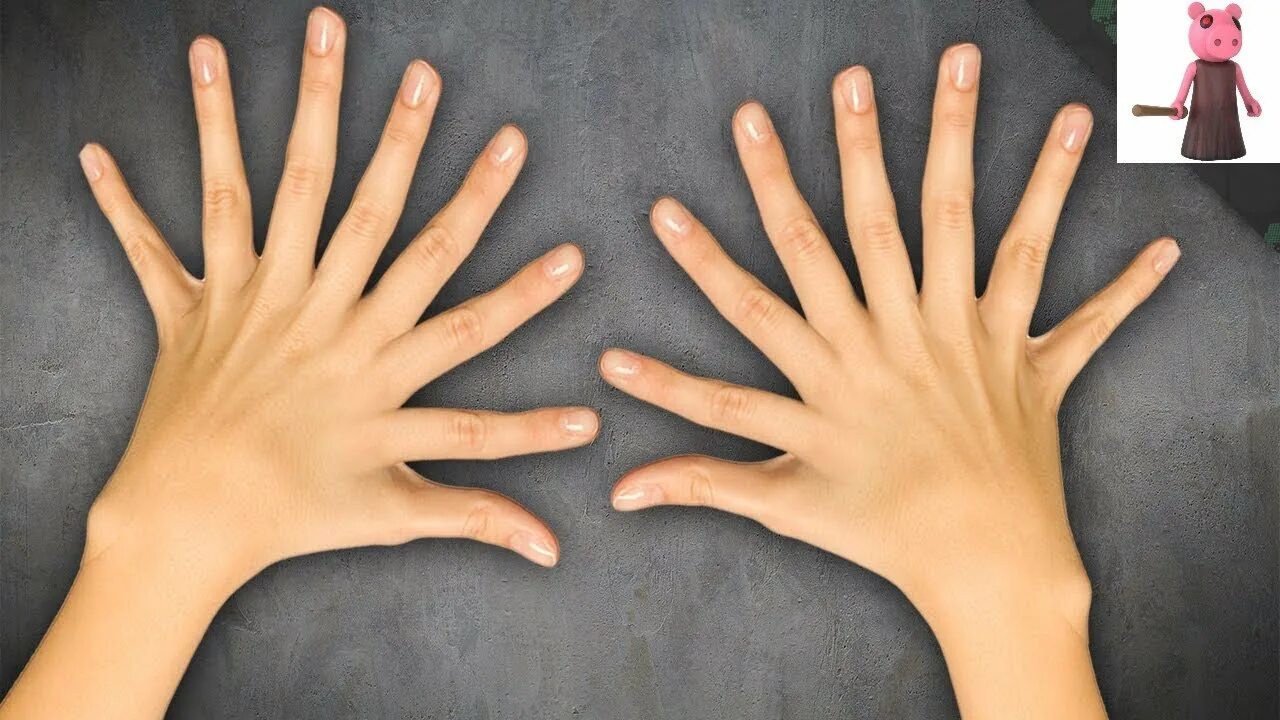 Человеческая рука. Десять пальцев на руке.