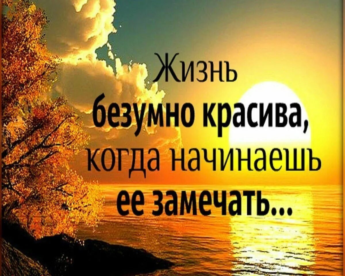 Статус открытка красиво. Красивые афоризмы. Красивые цитаты. Позитивные высказывания. Позитивные высказывания о жизни.