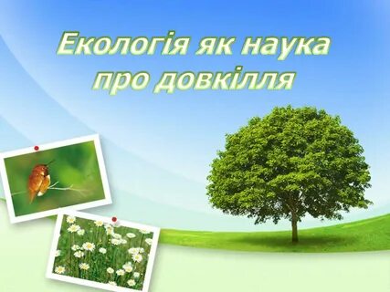 Значение живых цветов