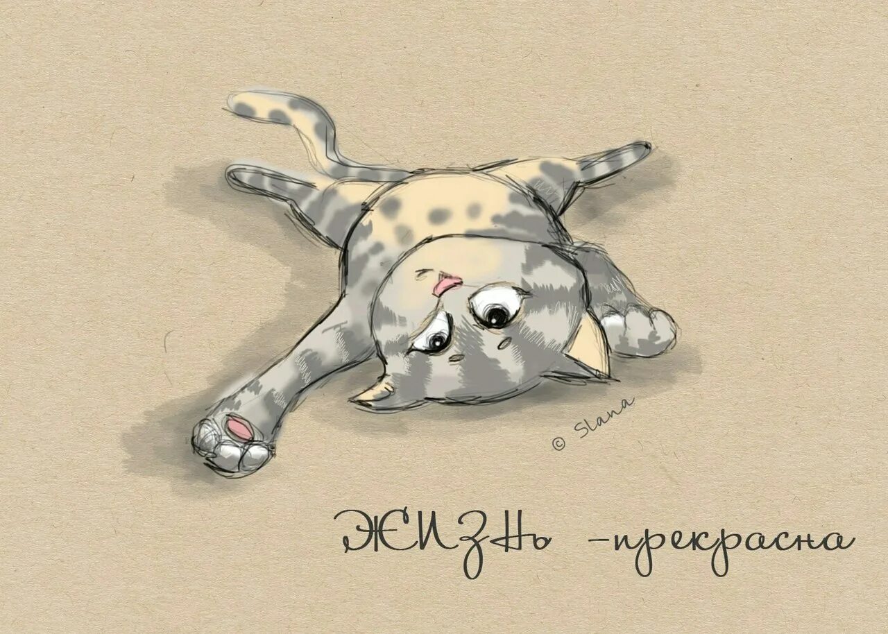 Изображение не то что
