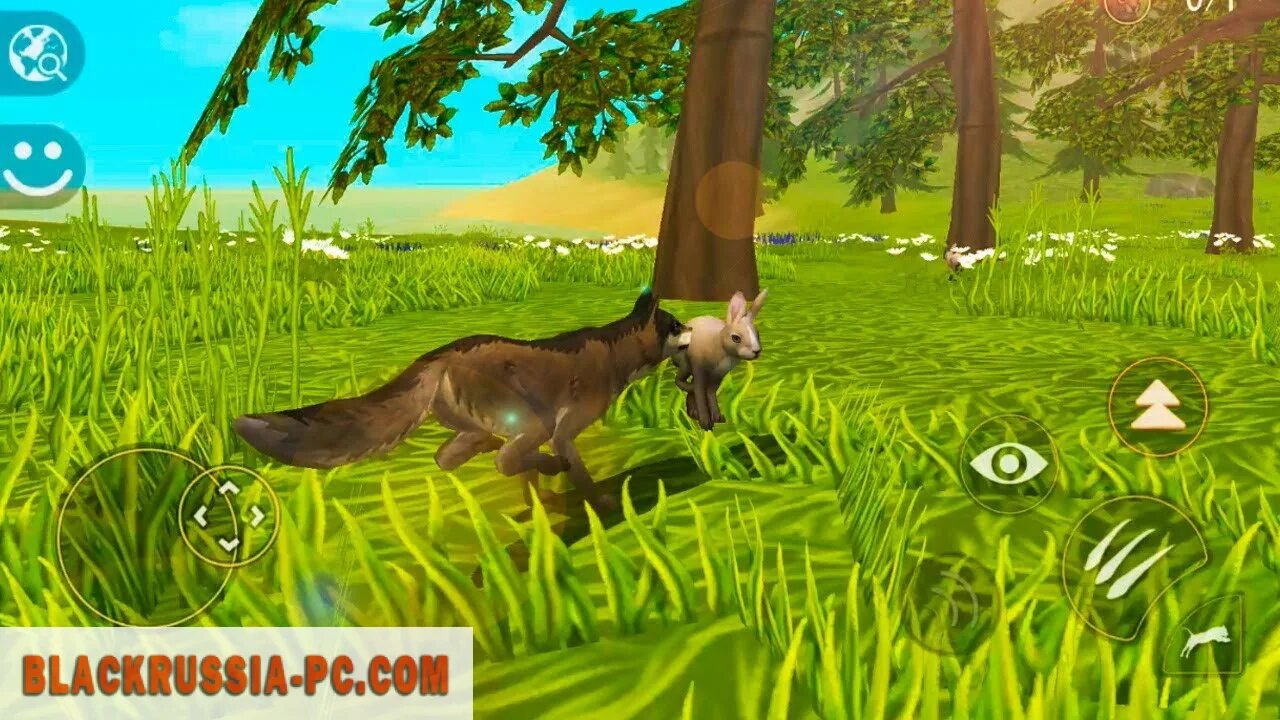 Игра wild craft. Симулятор волка WILDCRAFT. WILDCRAFT питомец. WILDCRAFT Кейт. Симулятор жизни животных.