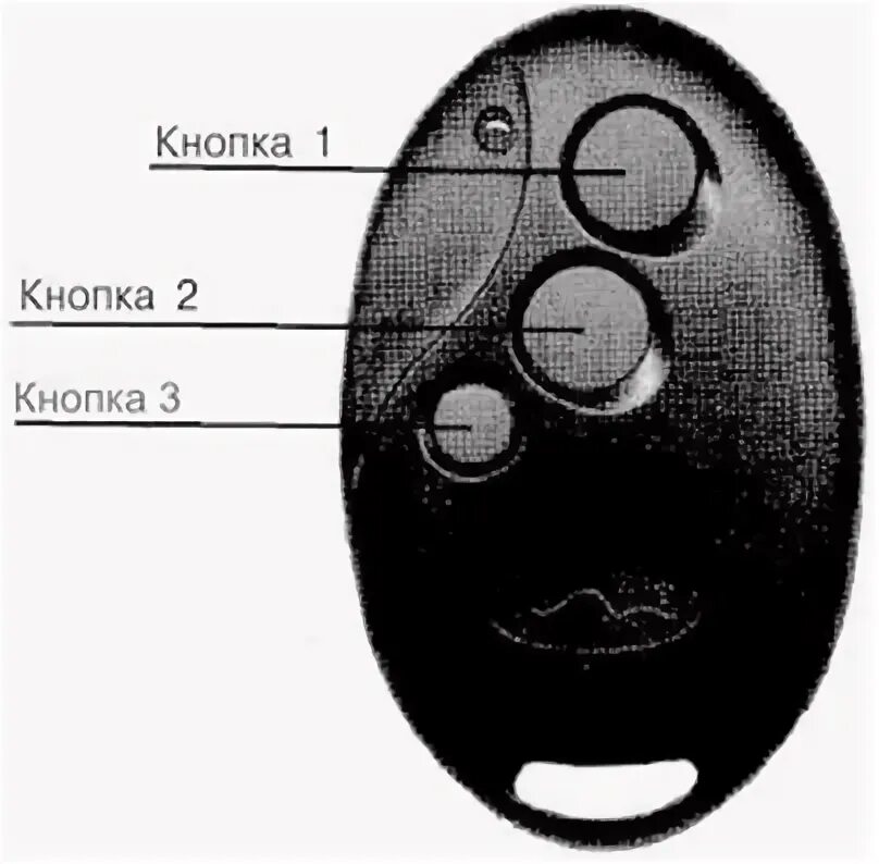 Система кнопок 3 кнопки. Mongoose сигнализация брелок с 3 кнопками. сигнализация мангуст дигитал 100. брелок сигнализации mongoose 3 кнопки назначение кнопок. mongoose брелок 3 кнопки.