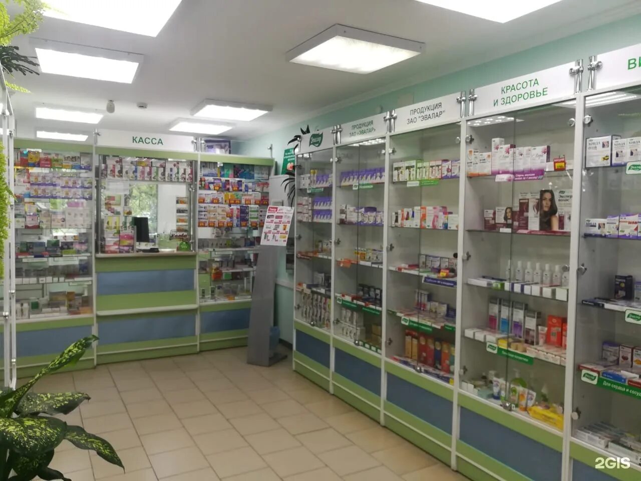 аптека эвалар барнаул. детский доктор бийск. аптека на улице декабристов. аптека эвалар на васильева бийск. фармдисконт аптека официальный сайт.