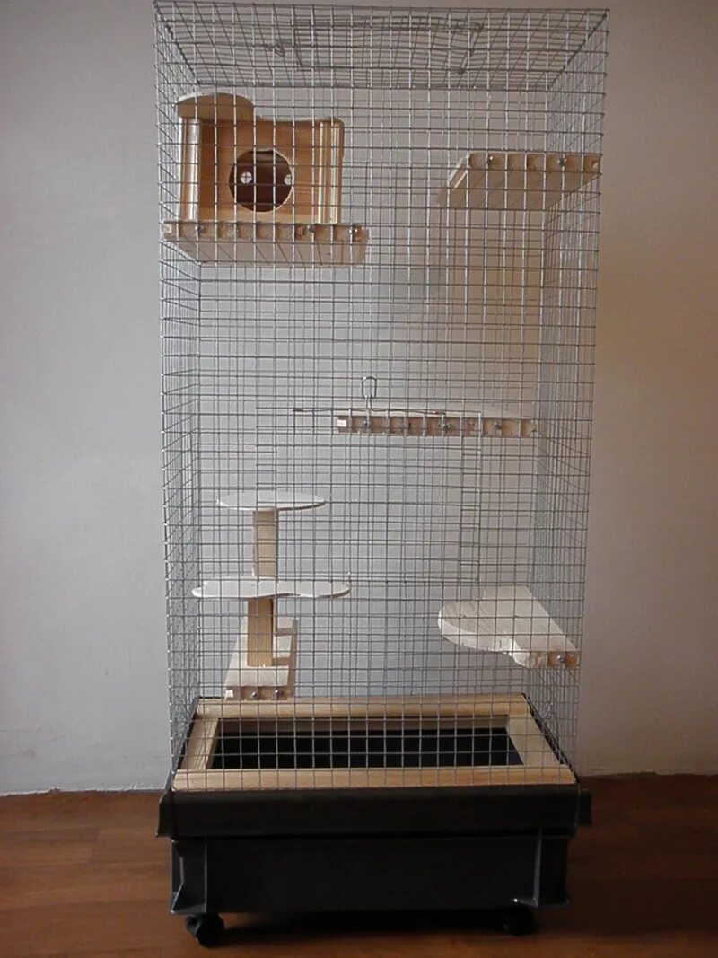 террариум для шиншилл. как сделать клетку для шиншиллы. как сделать клетку для шиншиллы. клетка для шиншиллы своими. самодельная клетка для шиншиллы.