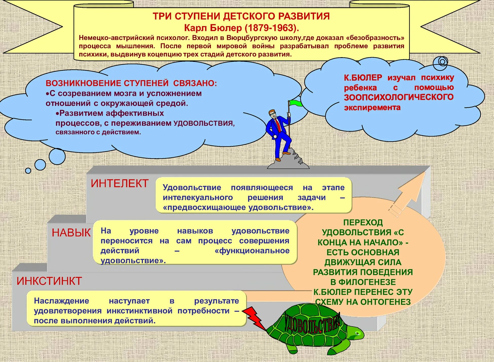 Красивые рестораны под ключ. Три ступени агентство. Три ступени королев. Три ступеньки мурманск. Три ступени королев.