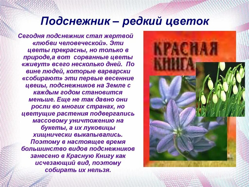 Информация детям о цветах