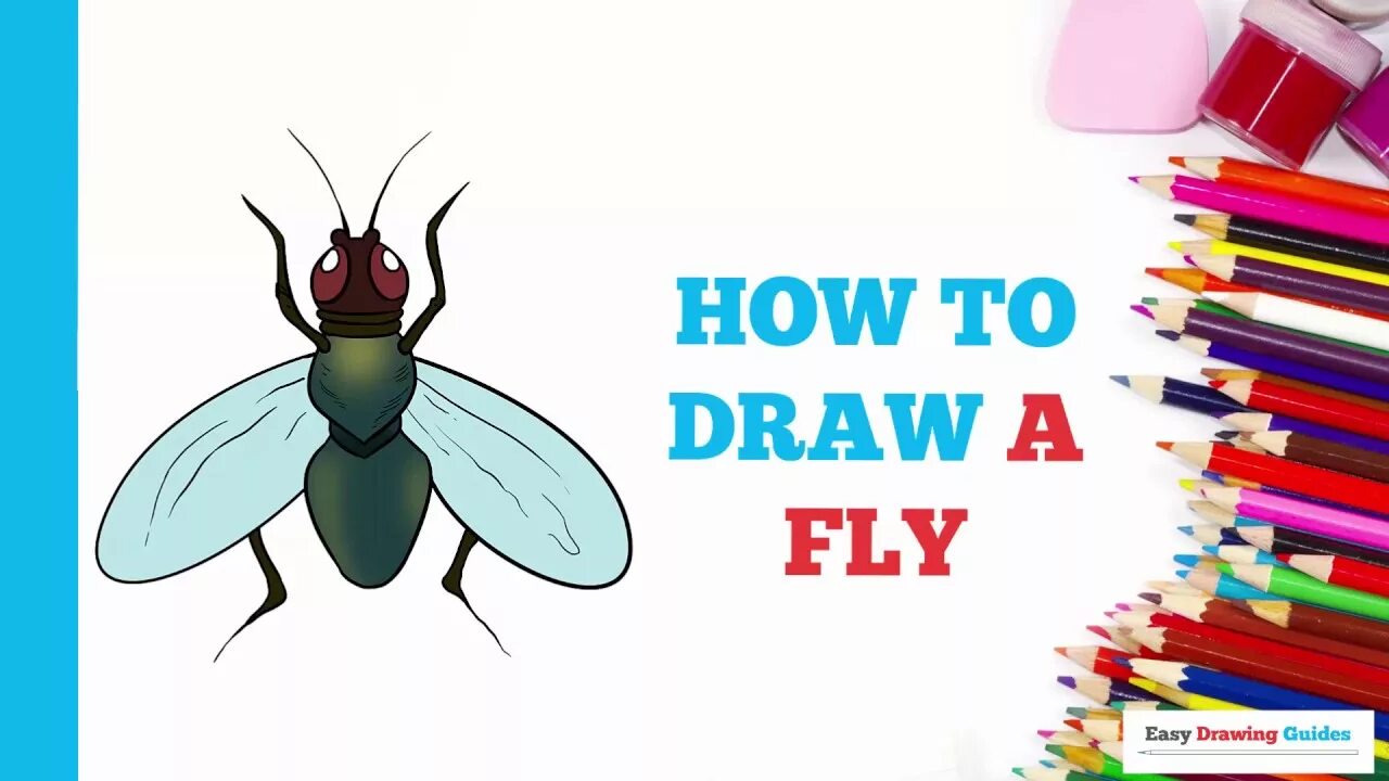 How easy. How to draw fly. how to draw fly easy. flying fly drawing easy. easy steps to fly.