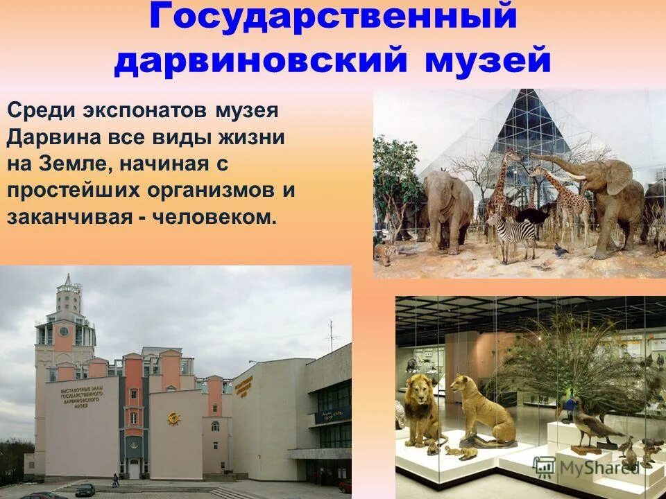 окружающий мир сообщение о музее. музей третьяковская галерея москва сообщение. третьяковская галерея в москве описание для 2 класса. окружающий мир сообщение о музее. информация о третьяковской галереи в москве 2 класс окружающий мир.