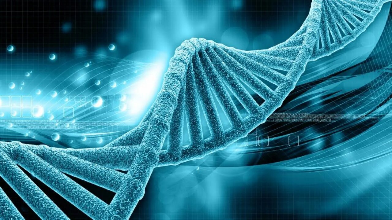Gene effect