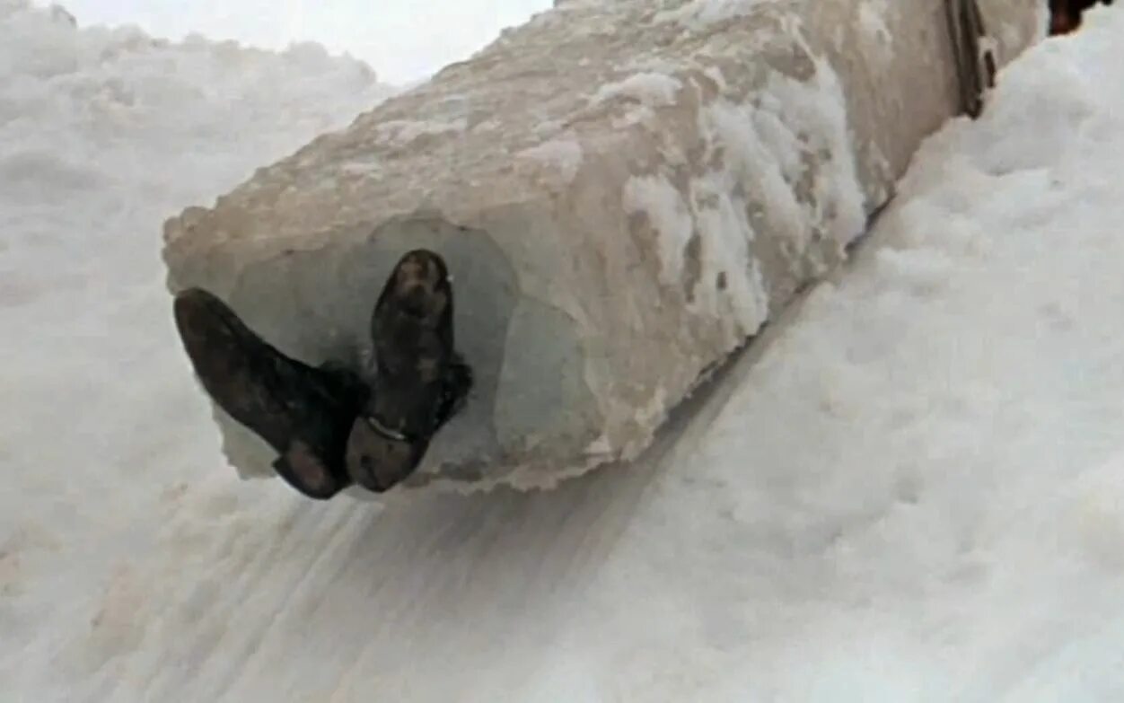 памятники на могилу для животных. замерзшие бездомные кошки. кошачья могила. копает зимой. как похоронить кота зимой если земля промерзлая.