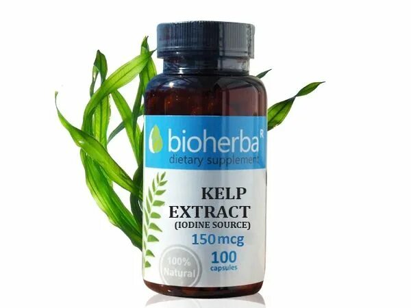 Kelp extract