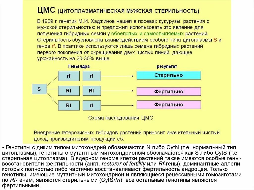 Цитоплазматический Тип наследования. Нехромосомная цитоплазматическая наследственность. Пластидная цитоплазматическая наследственность. Виды цитоплазматической наследственности. Почему у женщин имеющих в генотипе