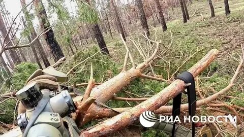 Действующее видео