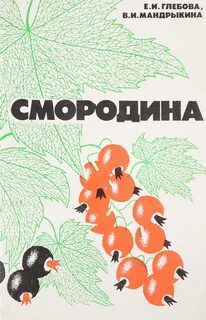 Смородин книги