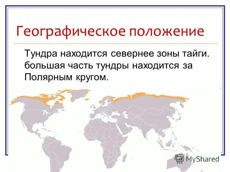 Какая природная зона перед полярным кругом. Географическое положение тундры.