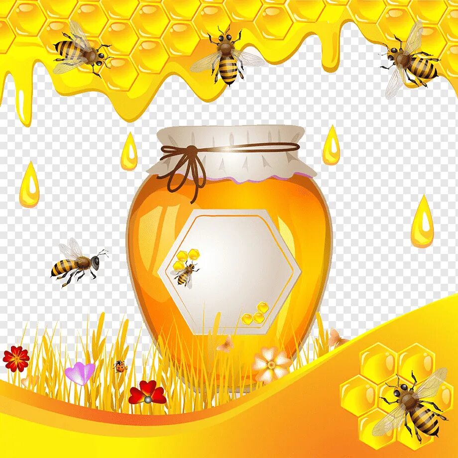 Банка для меда. Пчелы и мед. Рамка с пчелами и сотами. Пчеловод с рамкой меда. Пустая банка меда