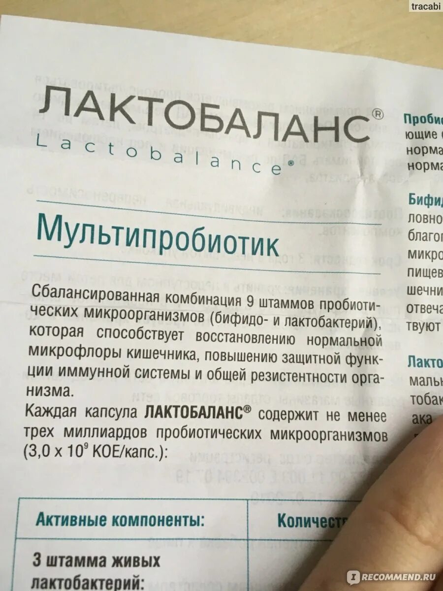 Лактобаланс капсулы инструкция по применению взрослым. Пробиотик лактобаланс. пробиотик японский лактобаланс. лактобаланс капсулы. лактобаланс капсулы инструкция.