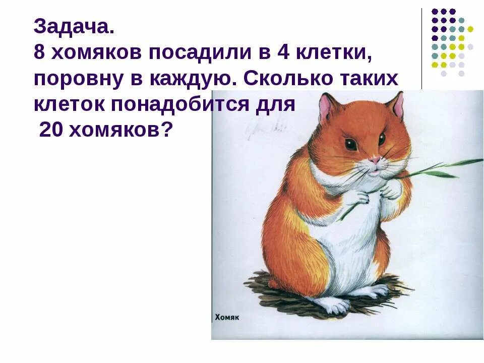 хомячок раскраска для детей. рисование хомяка для детей. хомяк задания для малышей. хомяк раскраска для детей. живой уголок задания для детей.