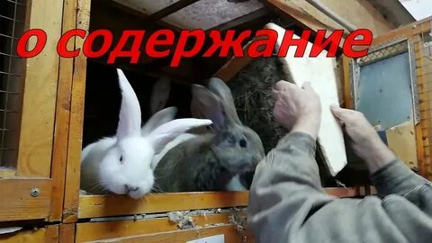В гостях у дяди саши последнее видео