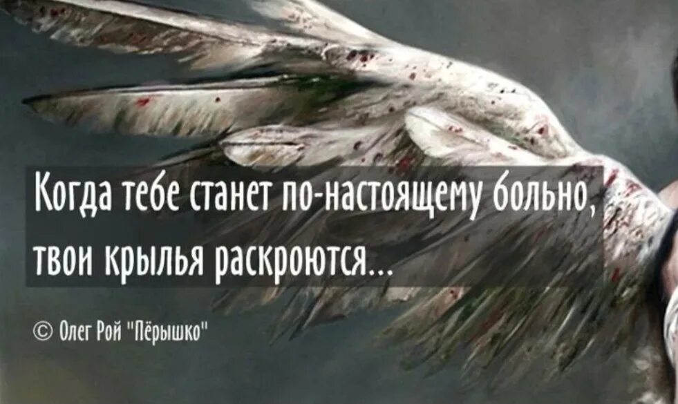 Высказывания про Крылья. Фразы про Крылья. Цитаты про Крылья. Высказывания про Крылья за спиной. Друзей крыльев без что