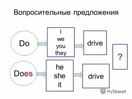 Вопросы present simple do does