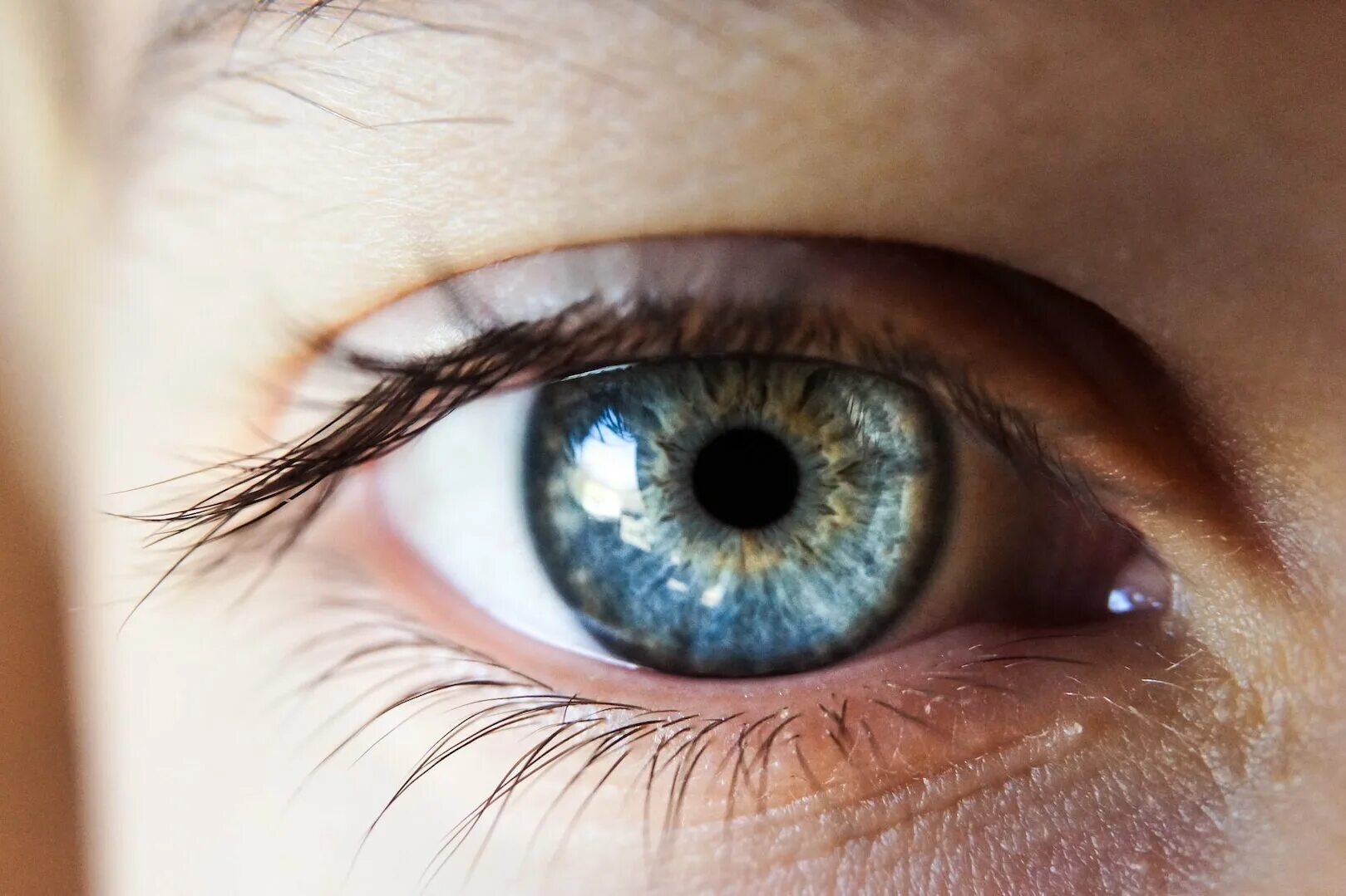 Цвет глаз человека определяется пигментацией. Глаз. Человеческий глаз. Глаз человека фото. Глаз крупным планом.