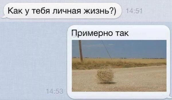 Как ответить на вопрос как дела. Как жизнь. Как жизнь как ответить оригинально. Вопрос ты кто по жизни. Как жизнь как ответить оригинально.